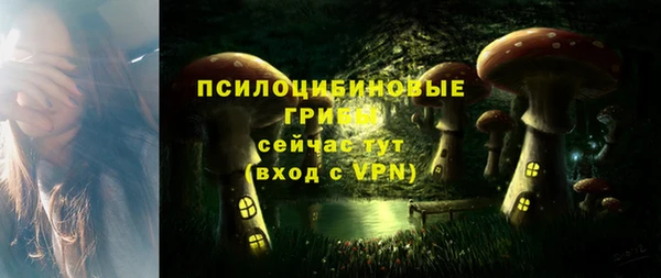 стафф Абдулино