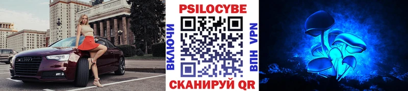 KRAKEN tor  Кандалакша  Галлюциногенные грибы мухоморы  где купить наркоту 