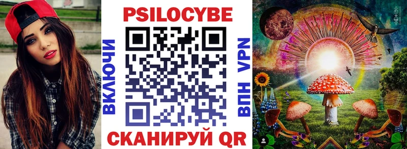 Псилоцибиновые грибы Psilocybine cubensis Кандалакша